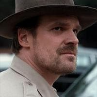 Jim Hopper MBTI Personality Type image