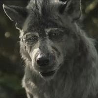 profile_Akela