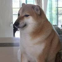 Balltze (Cheems) MBTI Personality Type image