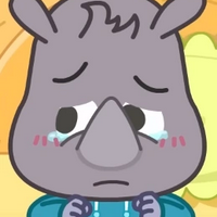 profile_Little Rhino