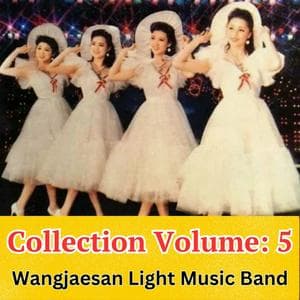 profile_Wangjaesan Light Music Band - Blessing of the Ferns