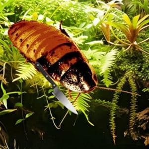 Айзек MBTI Personality Type image