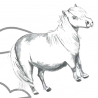 Magical Pony mbtiパーソナリティタイプ image