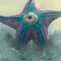 profile_Starro