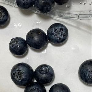 profile_Blueberry