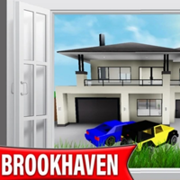 Brookhaven MBTI Personality Type image