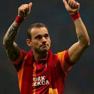 profile_Wesley Sneijder