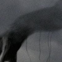 profile_The Wandering Faith/day 17