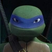 Leonardo “Leo” Hamato mbti kişilik türü image