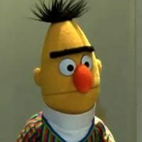 Bert type de personnalité MBTI image