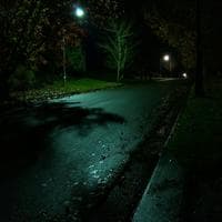 profile_Level 9 - The Suburbs