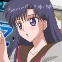 Rei Hino (Sailor Mars) MBTI性格类型 image