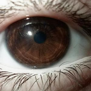 Brown Eyes MBTI Personality Type image