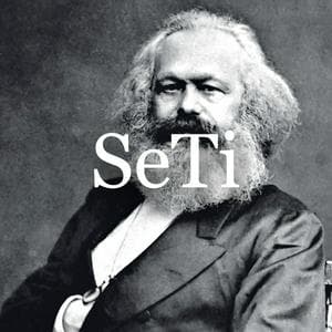 SeTi نوع شخصية MBTI image