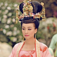 profile_Noble Consort Wei