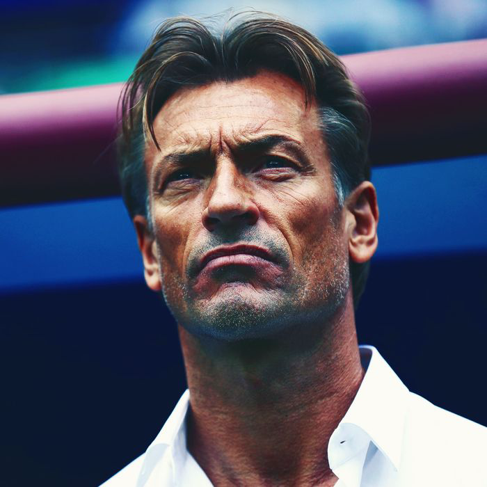 profile_Herve Renard