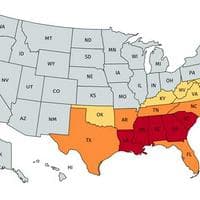 Southern MBTI Personality Type image