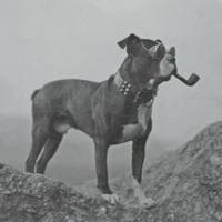 profile_Addison MacHenry