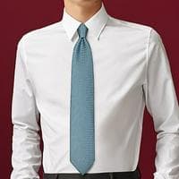 Tie MBTI Personality Type image