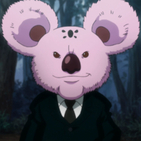 profile_Koala
