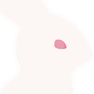 profile_Monomoko