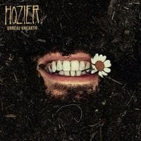 profile_Hozier - Nobody's Soldier