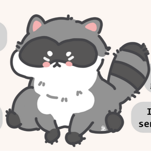 profile_Raccoon