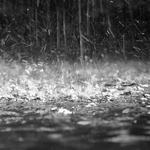 profile_Rain Drops