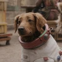 profile_Cosmo