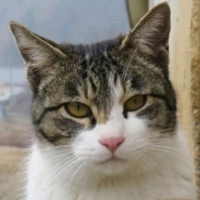 profile_Yattong (haha ha)