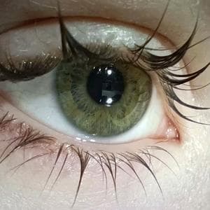 profile_Olive Green Eyes