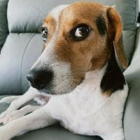 Bella (WayV) MBTI Personality Type image