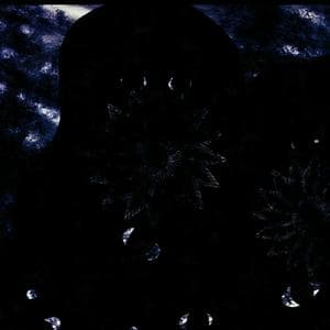 The Night Void MBTI Personality Type image