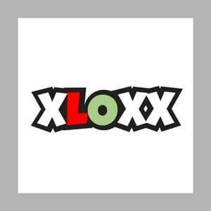 Fussy type (XLOXX) MBTI Personality Type image