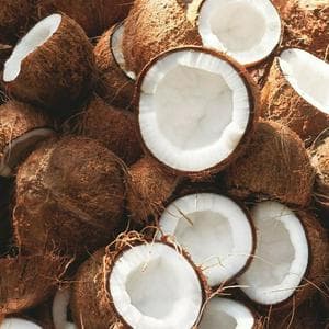 profile_Coconut