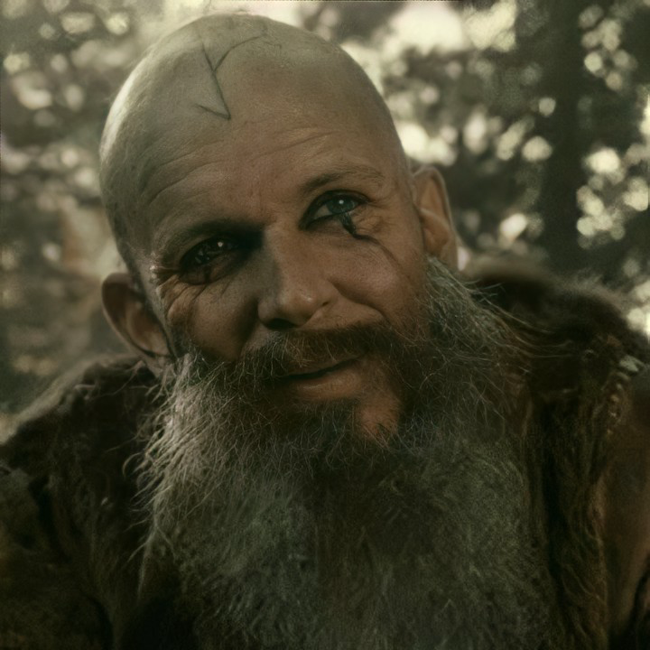 Floki Vilgerðarson MBTI Personality Type image