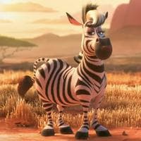 Zebra MBTI Personality Type image