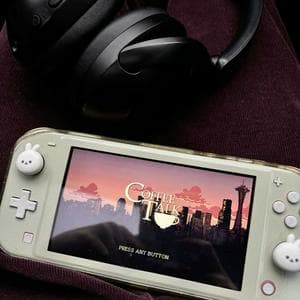 profile_Nintendo Switch Lite