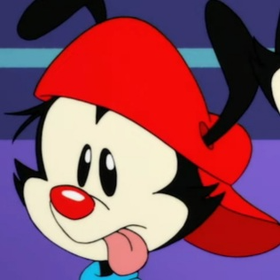 Wakko (Reboot) type de personnalité MBTI image