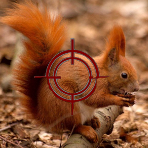 profile_Squirrel in the crosshairs (Белка под прицелом)
