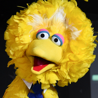 Big Bird tipo de personalidade mbti image