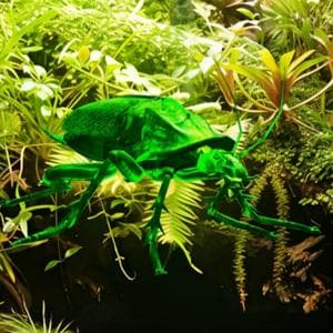 Волт-Битл MBTI Personality Type image