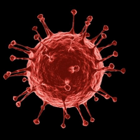 Coronavirus mbtiパーソナリティタイプ image