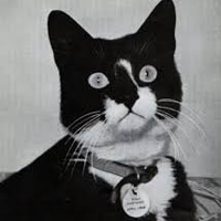 Unsinkable Sam MBTI Personality Type image