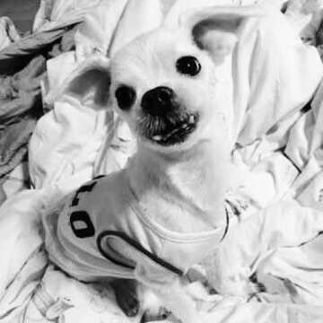 Gureum (BTS) MBTI Personality Type image