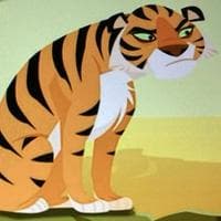 profile_Tiger