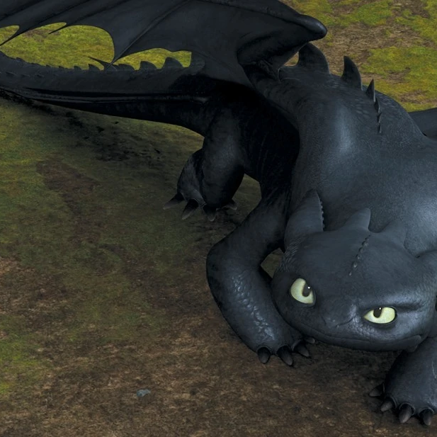 Night Fury MBTI Personality Type image