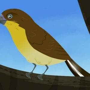 Sweet Tweet MBTI Personality Type image