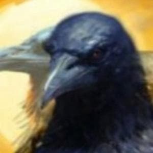 profile_Khan Tengri