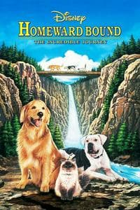 Homeward Bound (1993)